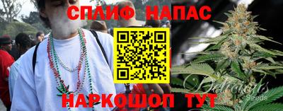 трава Ставрополь
